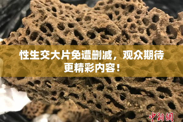 性生交大片免遭删减，观众期待更精彩内容！