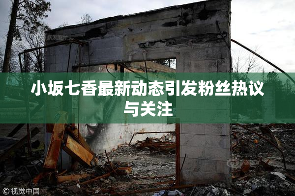 小坂七香最新动态引发粉丝热议与关注