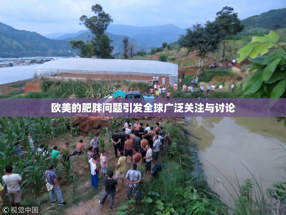 欧美的肥胖问题引发全球广泛关注与讨论