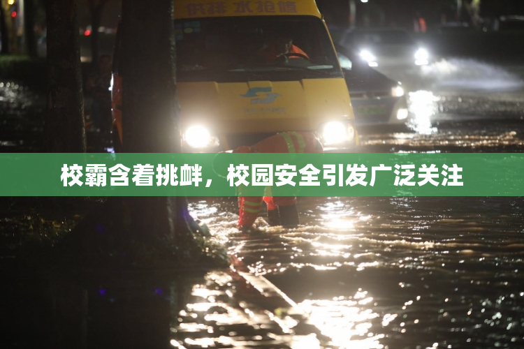 校霸含着挑衅，校园安全引发广泛关注