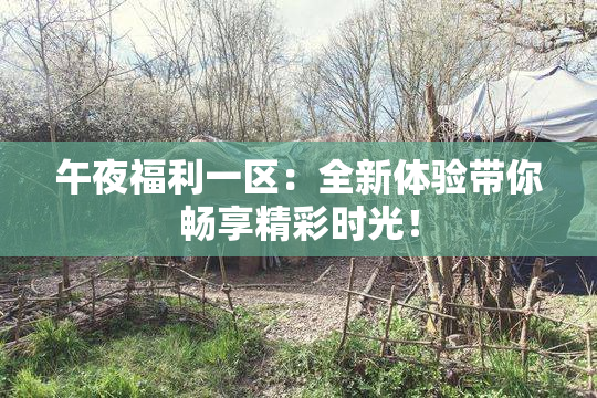 午夜福利一区：全新体验带你畅享精彩时光！
