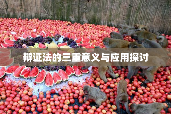 辩证法的三重意义与应用探讨