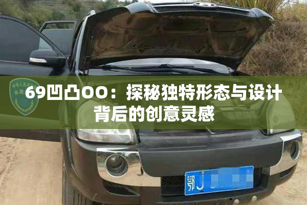 69凹凸OO：探秘独特形态与设计背后的创意灵感