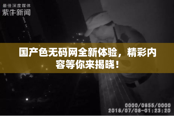 国产色无码网全新体验，精彩内容等你来揭晓！