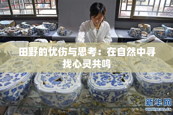 田野的忧伤与思考：在自然中寻找心灵共鸣