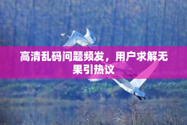 高清乱码问题频发，用户求解无果引热议