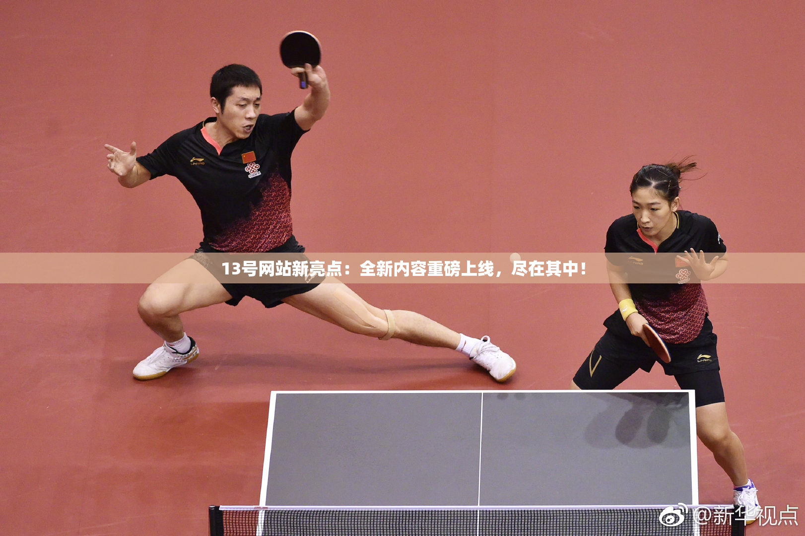 13号网站新亮点：全新内容重磅上线，尽在其中！