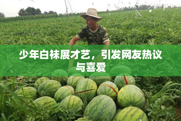少年白袜展才艺，引发网友热议与喜爱