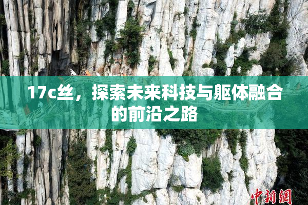 17c丝，探索未来科技与躯体融合的前沿之路