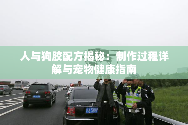 人与狗胶配方揭秘：制作过程详解与宠物健康指南