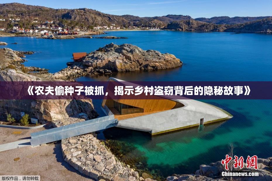 《农夫偷种子被抓，揭示乡村盗窃背后的隐秘故事》