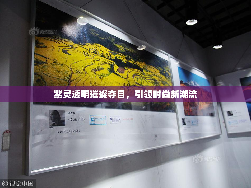 紫灵透明璀璨夺目，引领时尚新潮流