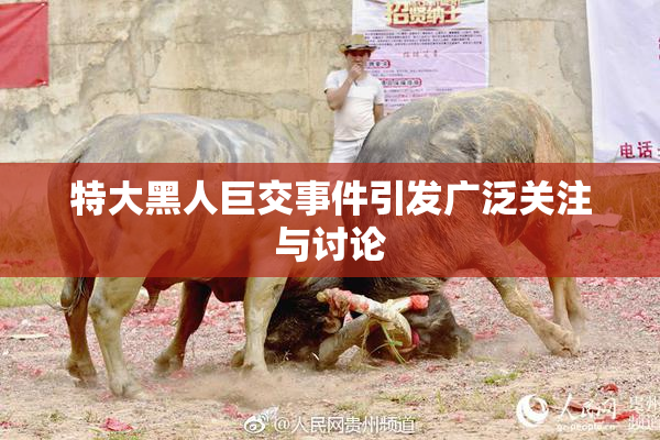 特大黑人巨交事件引发广泛关注与讨论