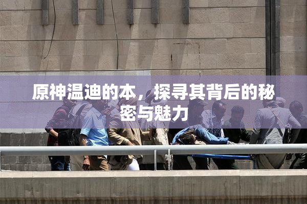 原神温迪的本，探寻其背后的秘密与魅力
