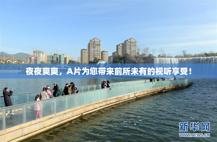 夜夜爽爽，A片为您带来前所未有的视听享受！