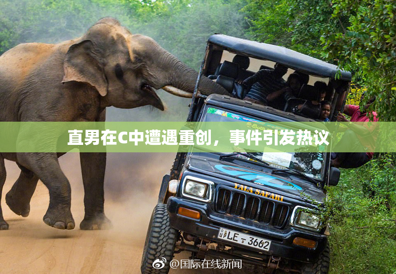 直男在C中遭遇重创，事件引发热议