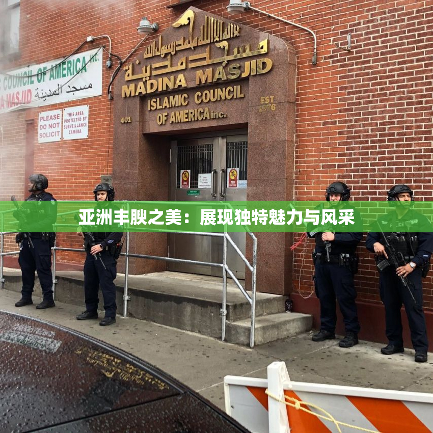 亚洲丰腴之美：展现独特魅力与风采