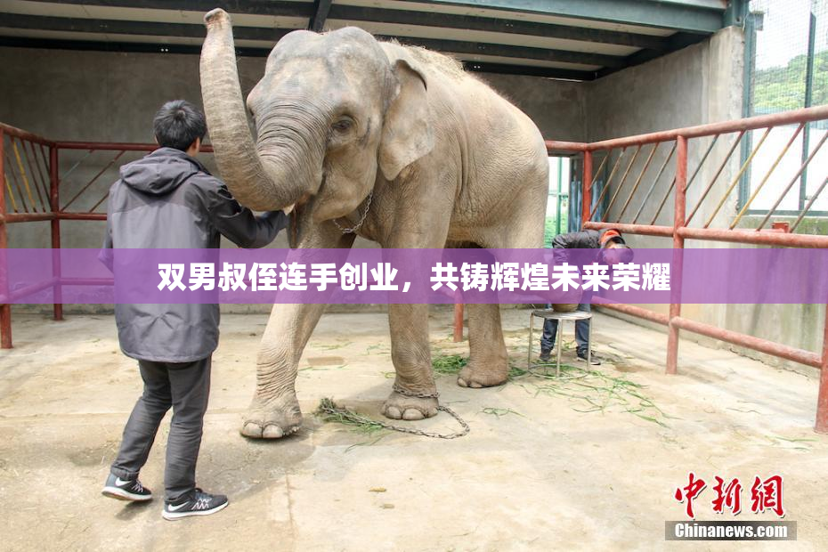 双男叔侄连手创业，共铸辉煌未来荣耀
