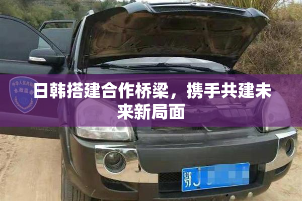 日韩搭建合作桥梁，携手共建未来新局面