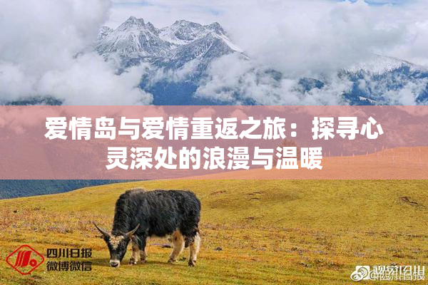 爱情岛与爱情重返之旅：探寻心灵深处的浪漫与温暖