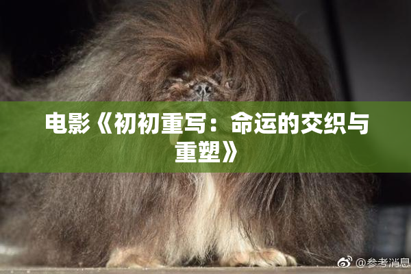 电影《初初重写：命运的交织与重塑》