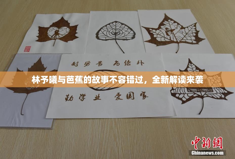 林予曦与芭蕉的故事不容错过，全新解读来袭