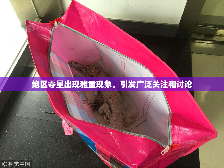 绝区零星出现雅重现象，引发广泛关注和讨论