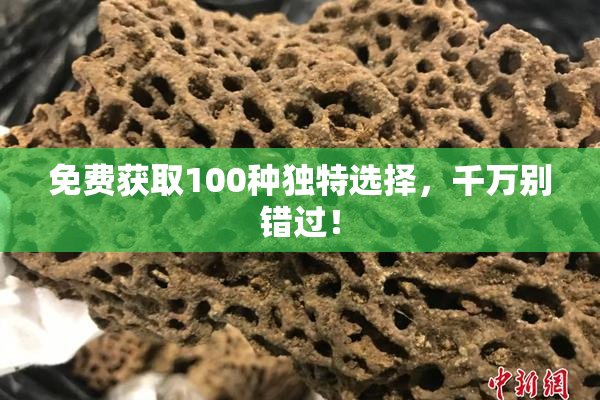 免费获取100种独特选择，千万别错过！