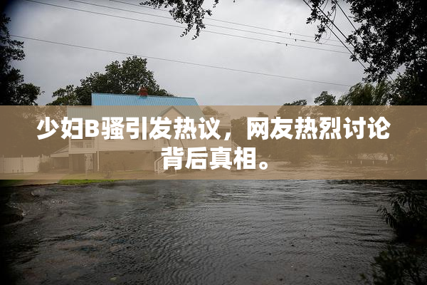 少妇B骚引发热议，网友热烈讨论背后真相。