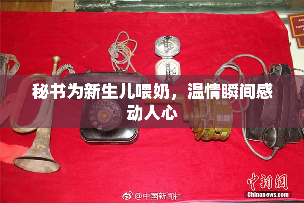 秘书为新生儿喂奶，温情瞬间感动人心
