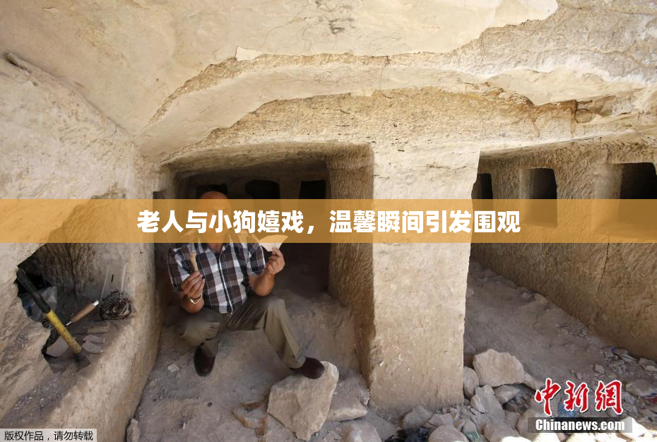 老人与小狗嬉戏，温馨瞬间引发围观