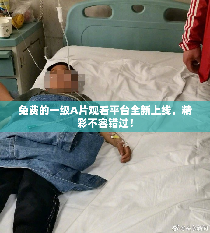 免费的一级A片观看平台全新上线，精彩不容错过！