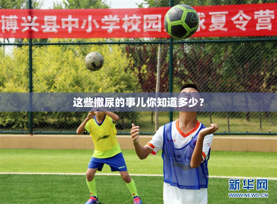 这些撒尿的事儿你知道多少？