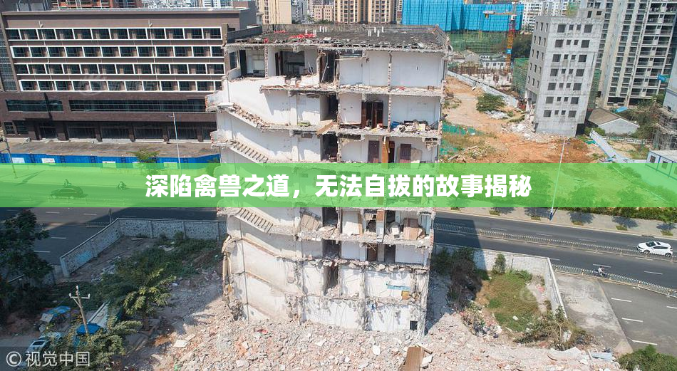 深陷禽兽之道，无法自拔的故事揭秘