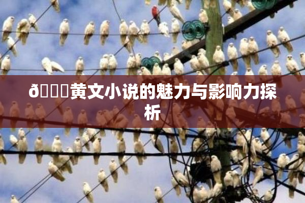 🔞黄文小说的魅力与影响力探析