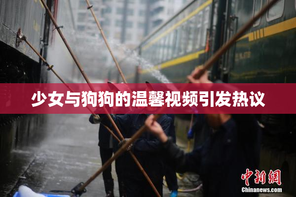 少女与狗狗的温馨视频引发热议