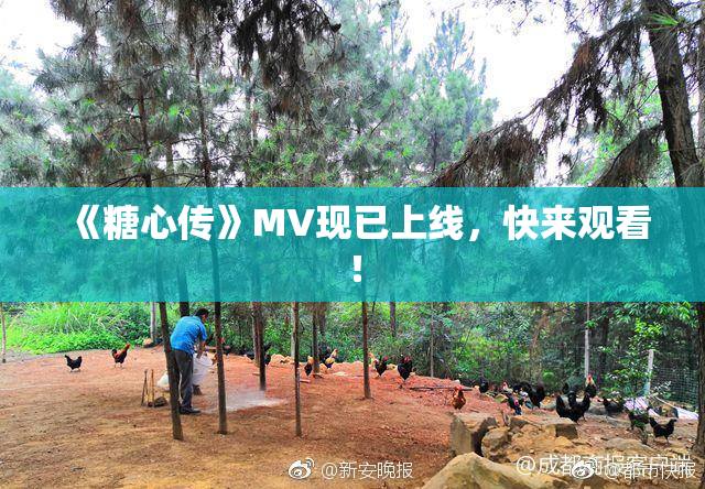 《糖心传》MV现已上线，快来观看！