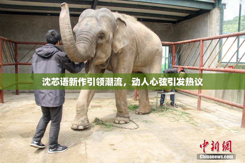 沈芯语新作引领潮流，动人心弦引发热议