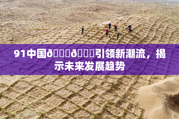 91中国🍆🍑引领新潮流，揭示未来发展趋势