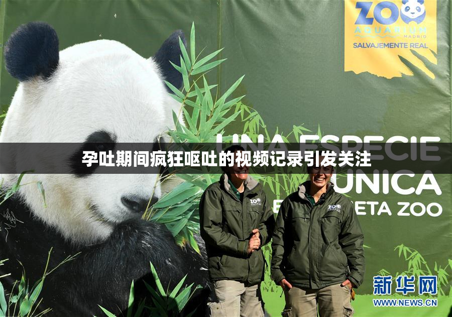 孕吐期间疯狂呕吐的视频记录引发关注