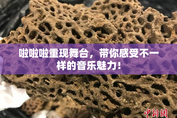 啦啦啦重现舞台，带你感受不一样的音乐魅力！