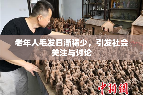 老年人毛发日渐稀少，引发社会关注与讨论