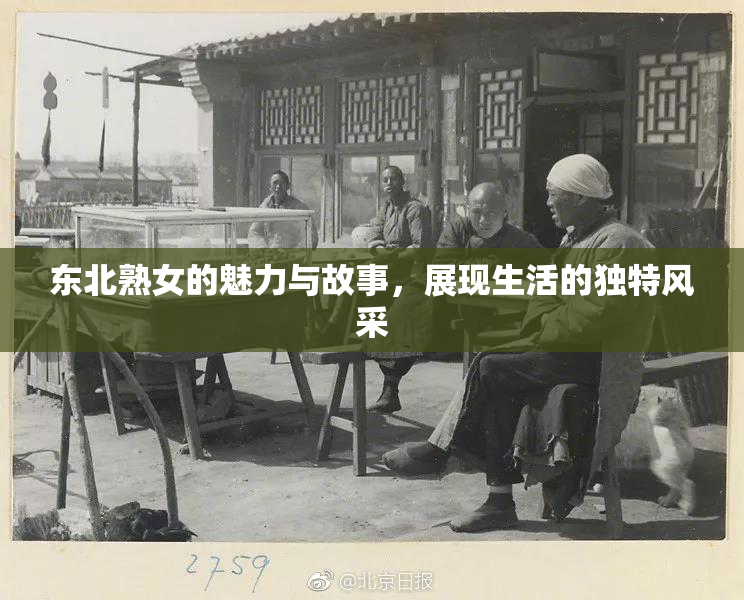 东北熟女的魅力与故事，展现生活的独特风采