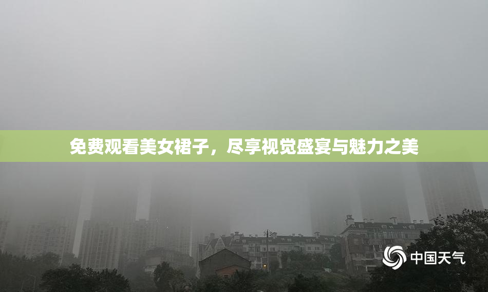 免费观看美女裙子，尽享视觉盛宴与魅力之美