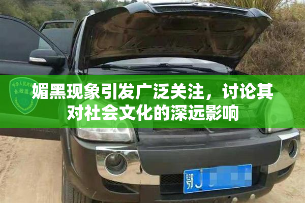 媚黑现象引发广泛关注，讨论其对社会文化的深远影响