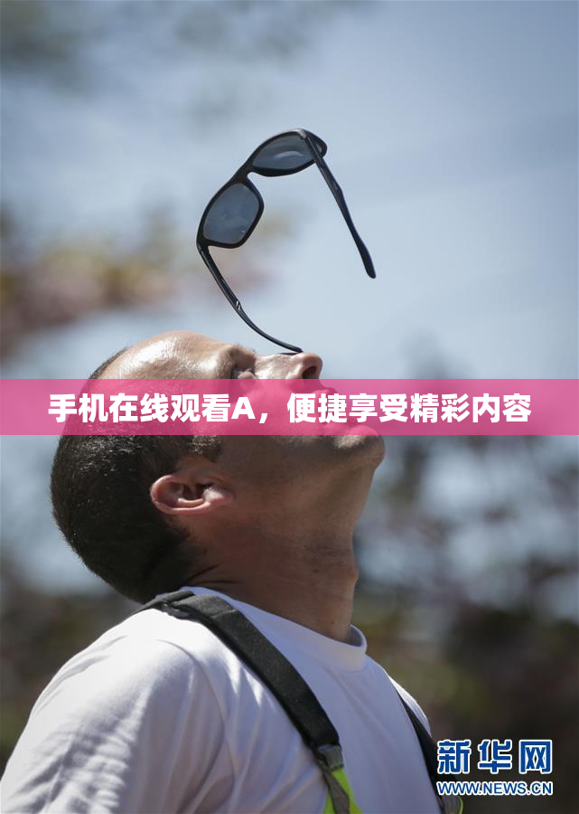 手机在线观看A，便捷享受精彩内容