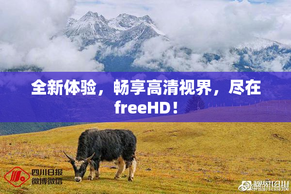 全新体验，畅享高清视界，尽在freeHD！