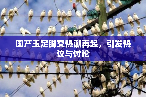 国产玉足脚交热潮再起，引发热议与讨论