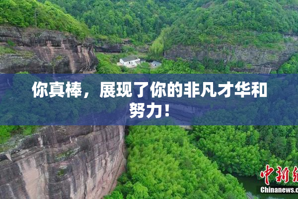 你真棒，展现了你的非凡才华和努力！