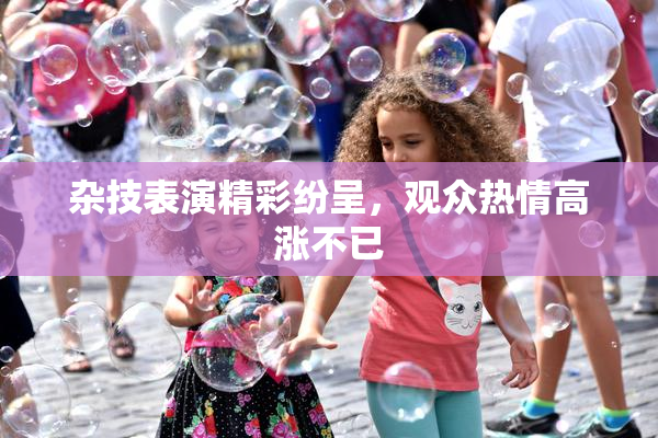 杂技表演精彩纷呈，观众热情高涨不已